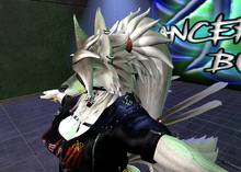 Load image into Gallery viewer, HuntressPonyTail