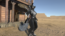 Load image into Gallery viewer, Sashina The Coyote WitchHunter