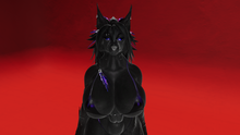 Load image into Gallery viewer, Lancer Feathered Fur Mane