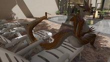 Load image into Gallery viewer, Scylena The Sun Leopard Shark Texture Pack

